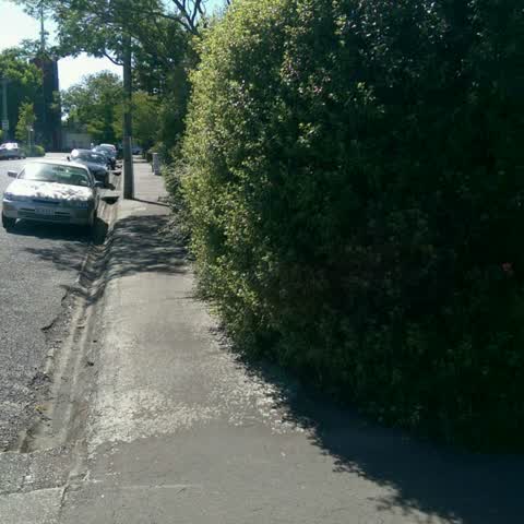 Roading/Streets, a report photo