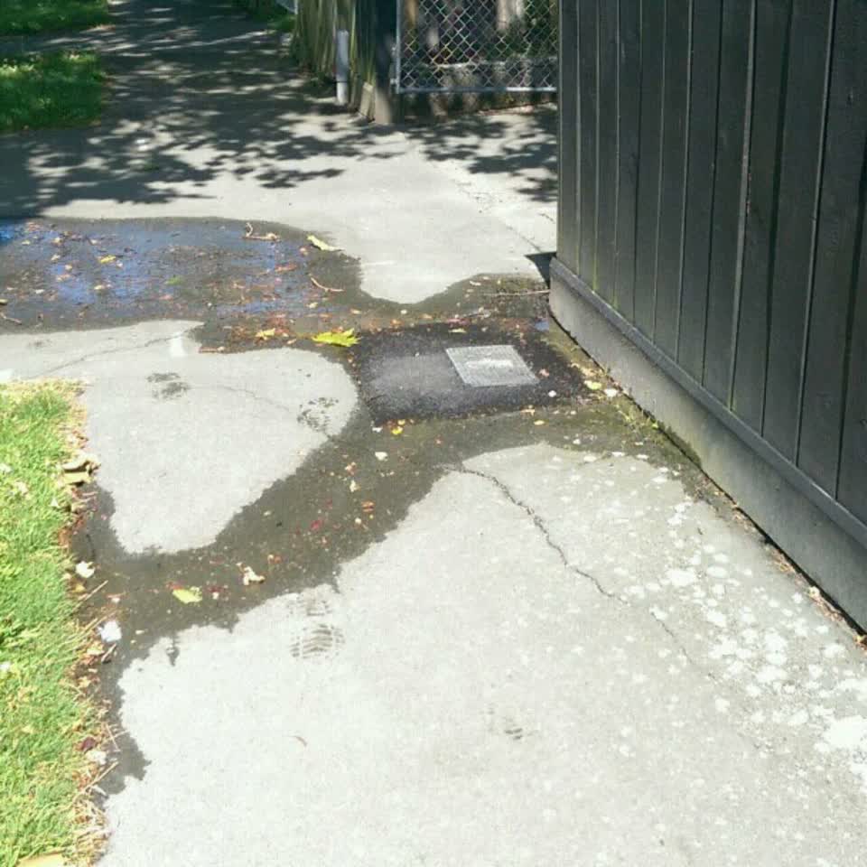 The photograph attached to this water supply report