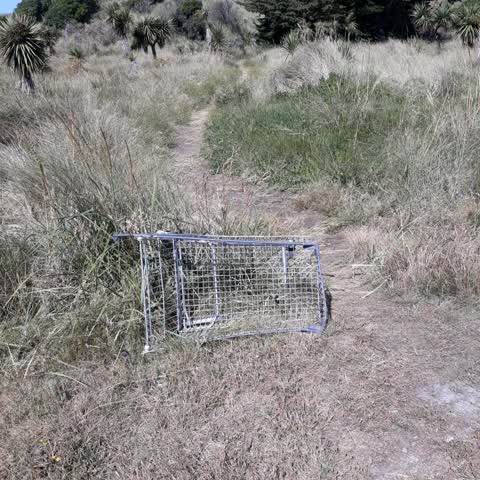 Rubbish/Recycling, a report photo