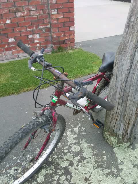 Rubbish/Recycling, a report photo