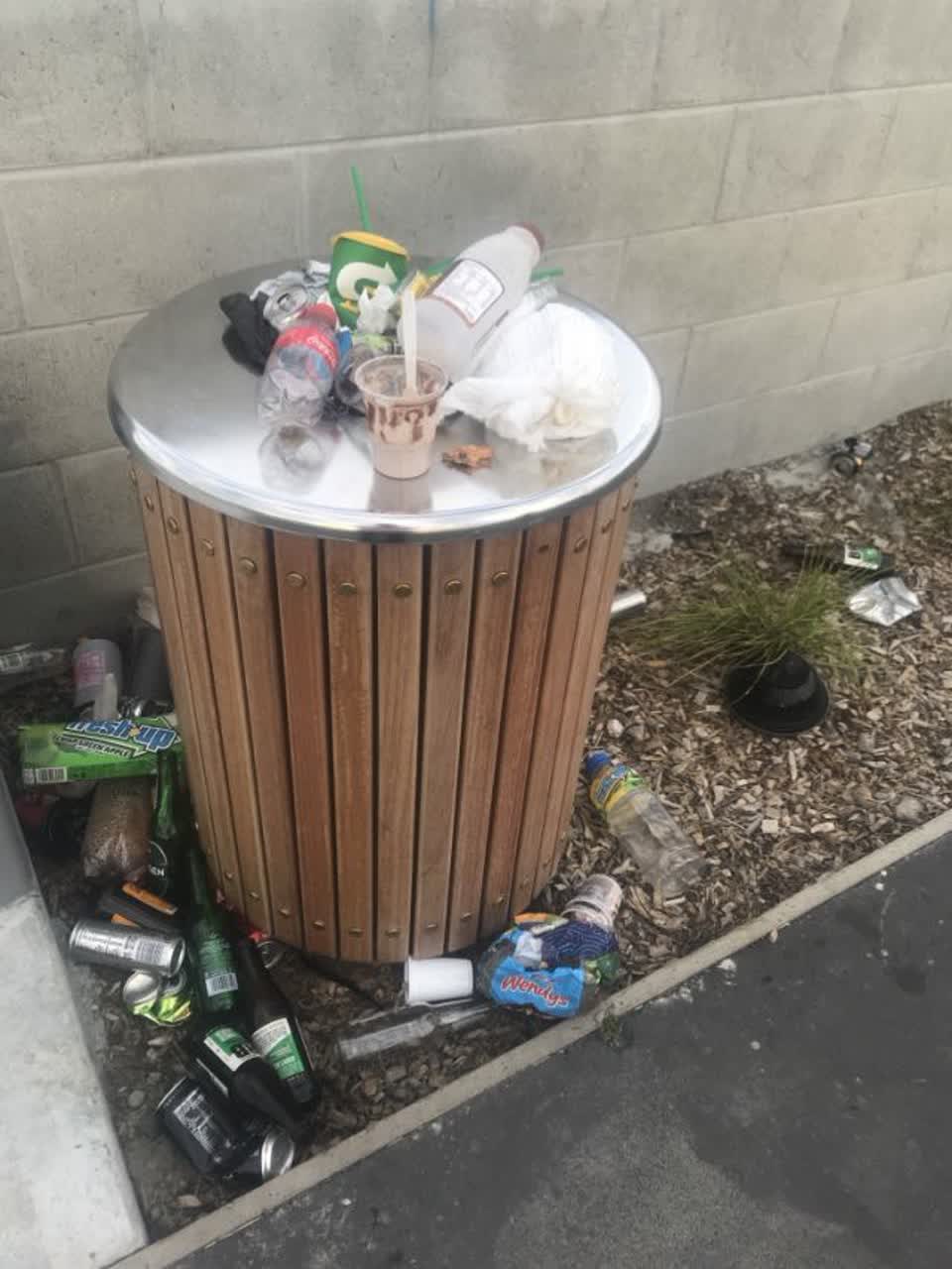 The photograph attached to this rubbish/recycling report
