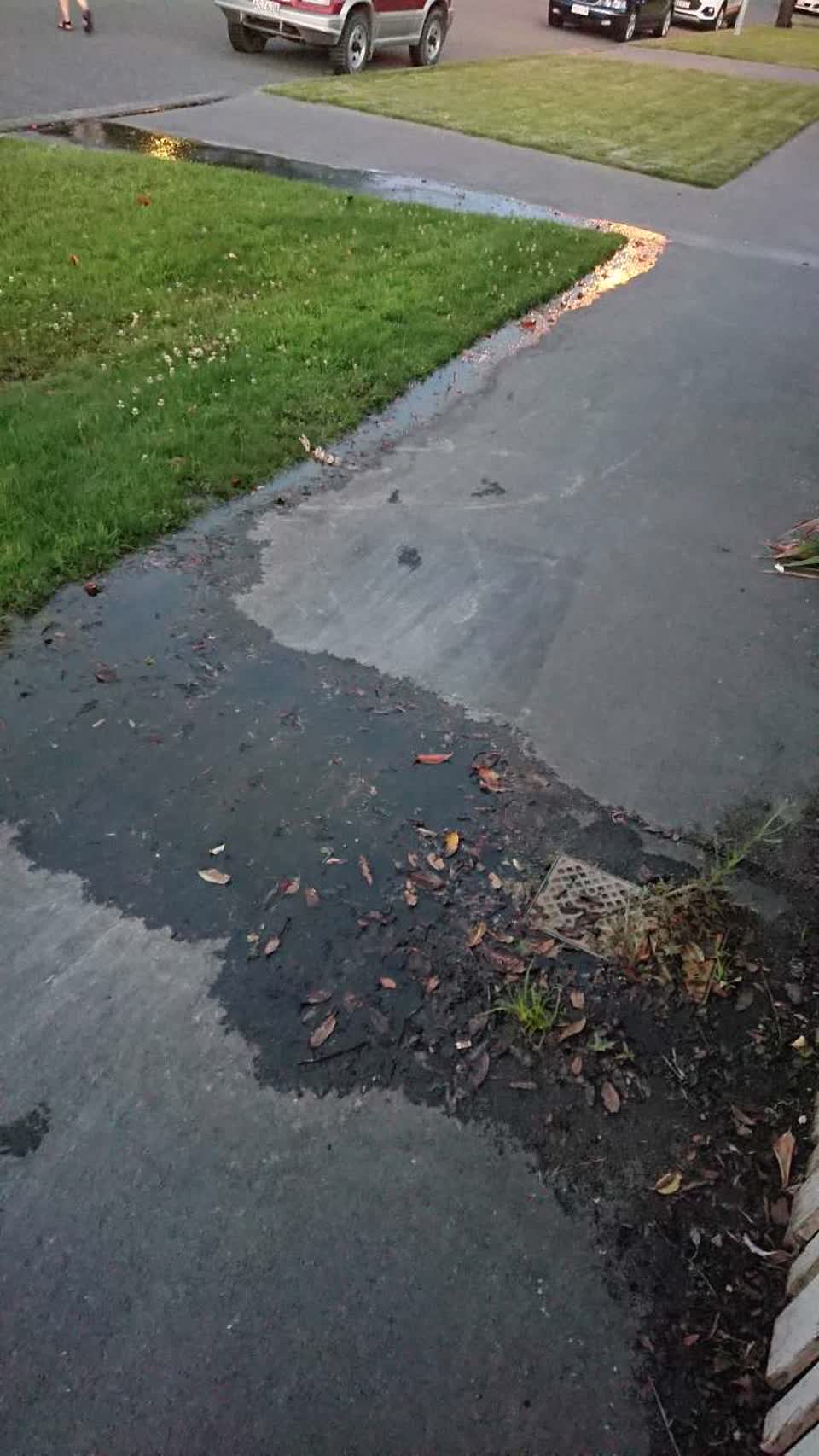 The photograph attached to this water supply report