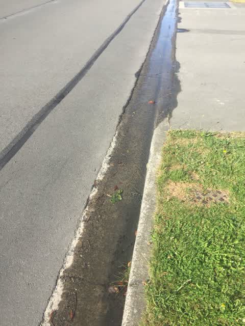 Water Supply, a report photo
