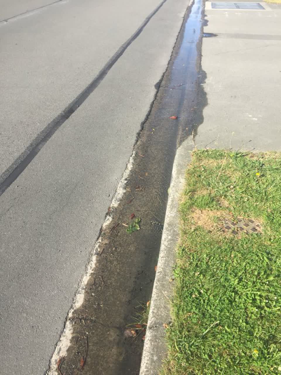 The photograph attached to this water supply report