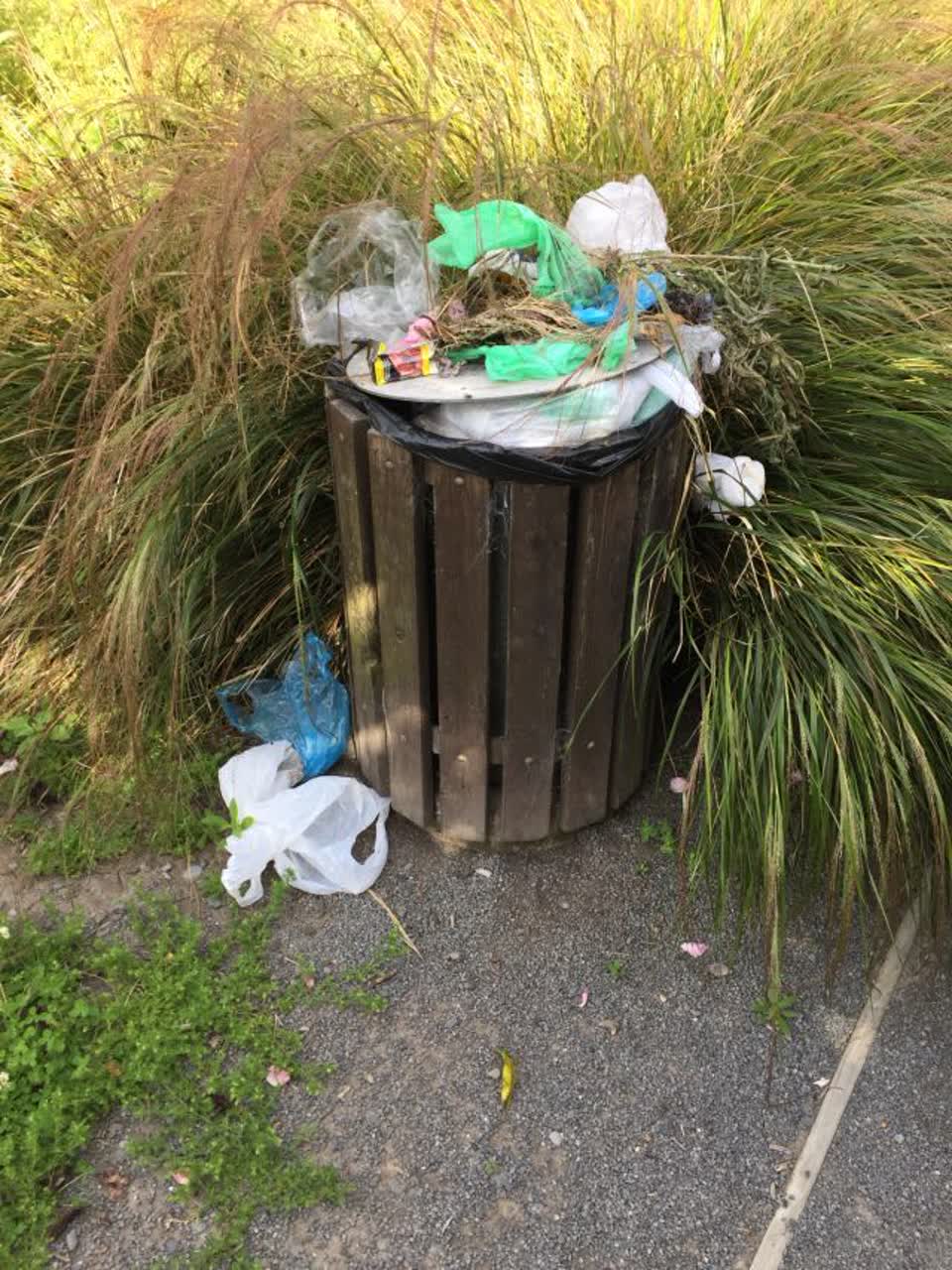 The photograph attached to this rubbish/recycling report