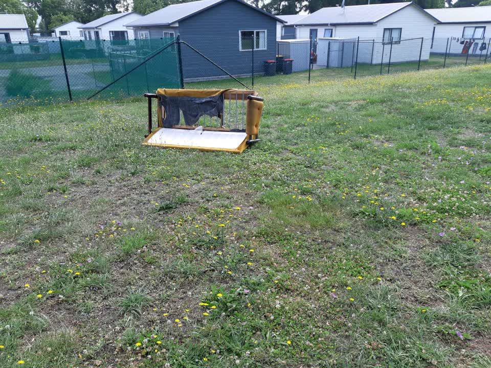 The photograph attached to this parks report