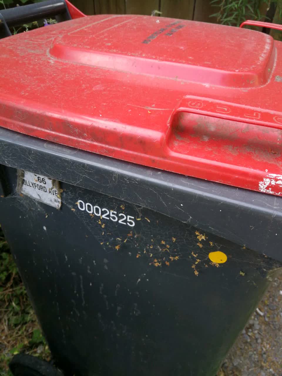 The photograph attached to this rubbish/recycling report