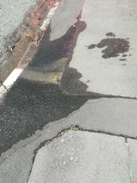 Water Supply, a report photo