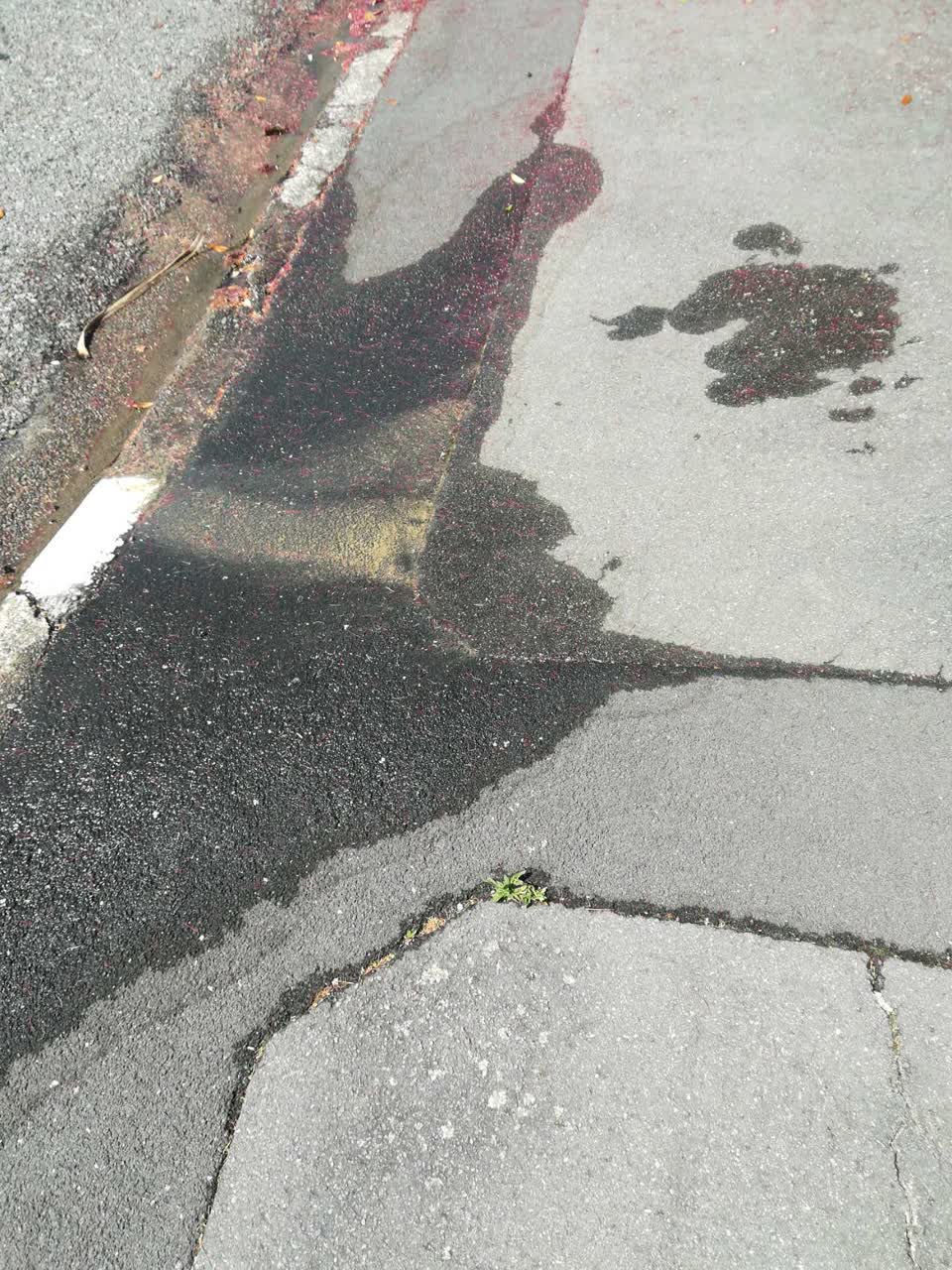 The photograph attached to this water supply report