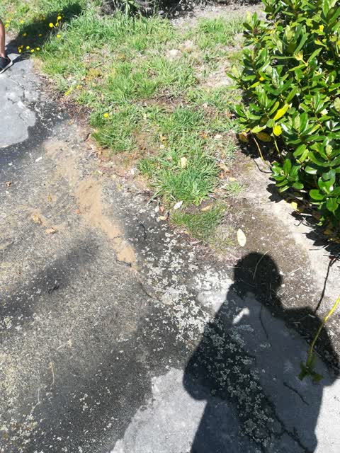 Water Supply, a report photo