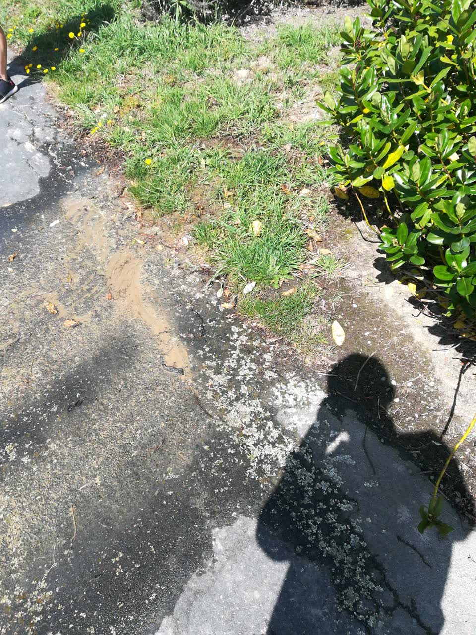 The photograph attached to this water supply report