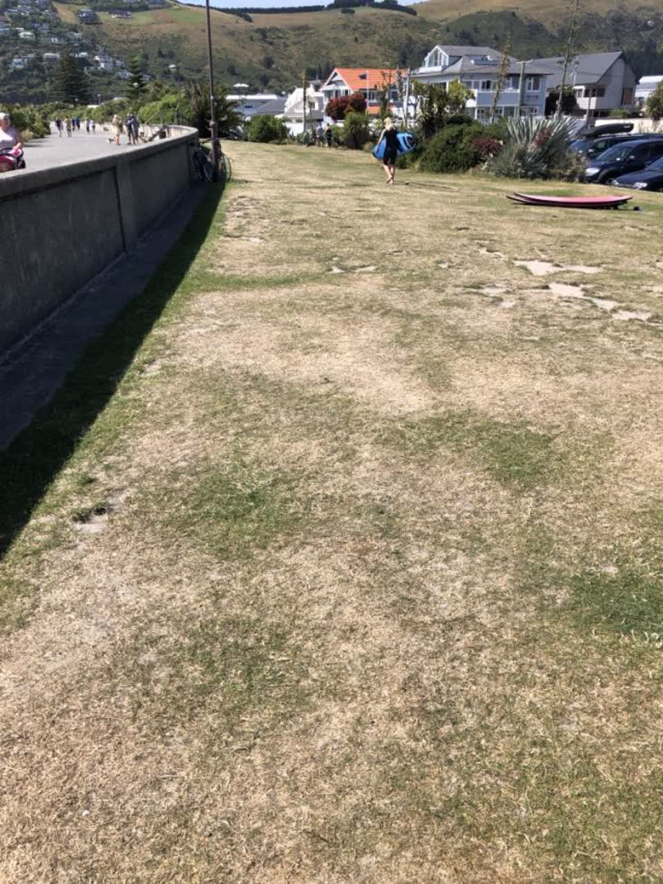 The photograph attached to this parks report