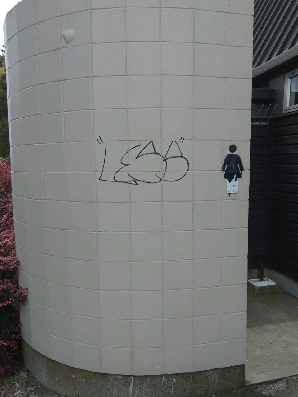 The photograph attached to this graffiti report