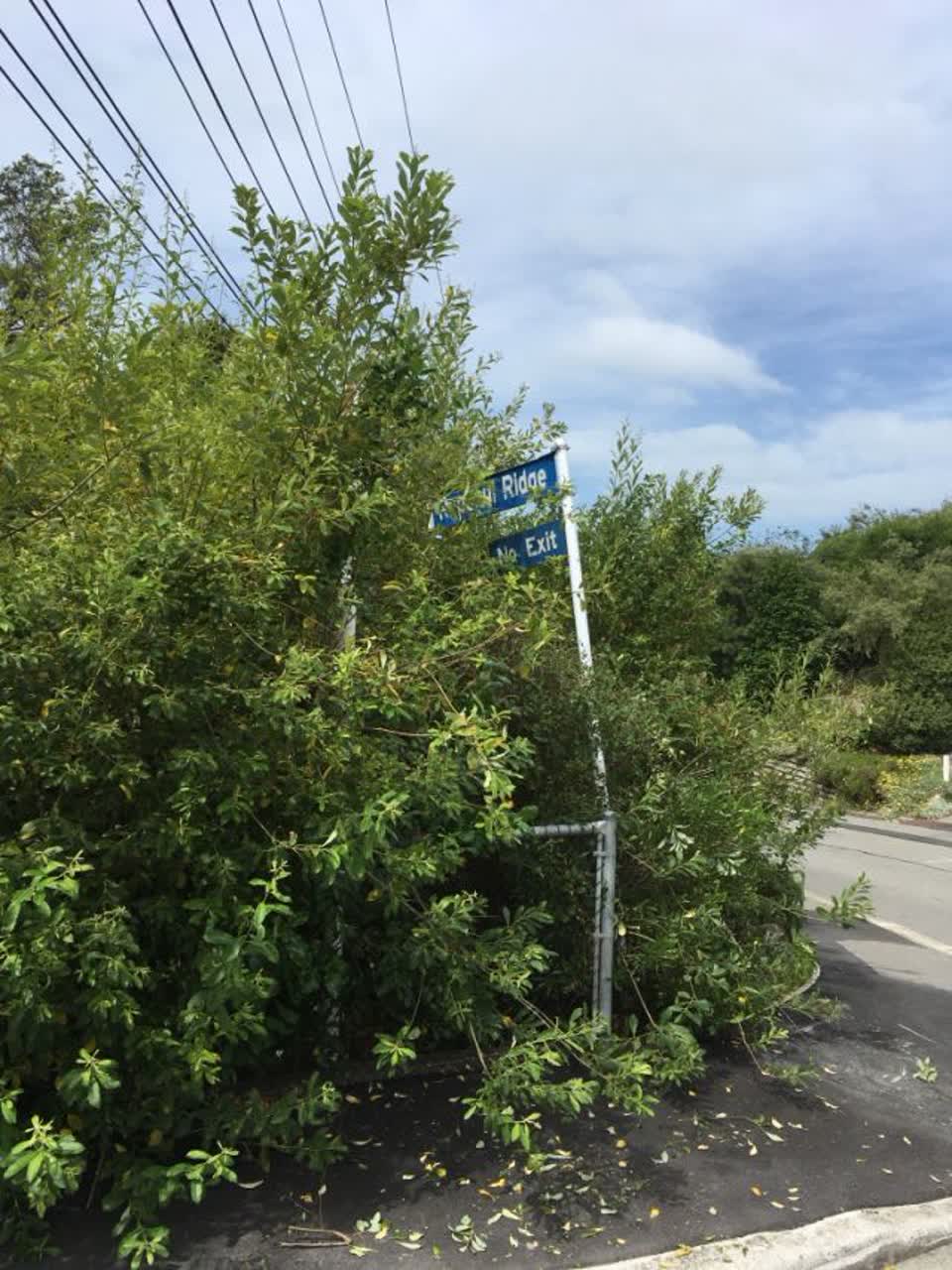 The photograph attached to this roading/streets report