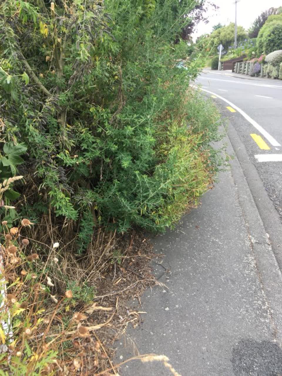 The photograph attached to this roading/streets report