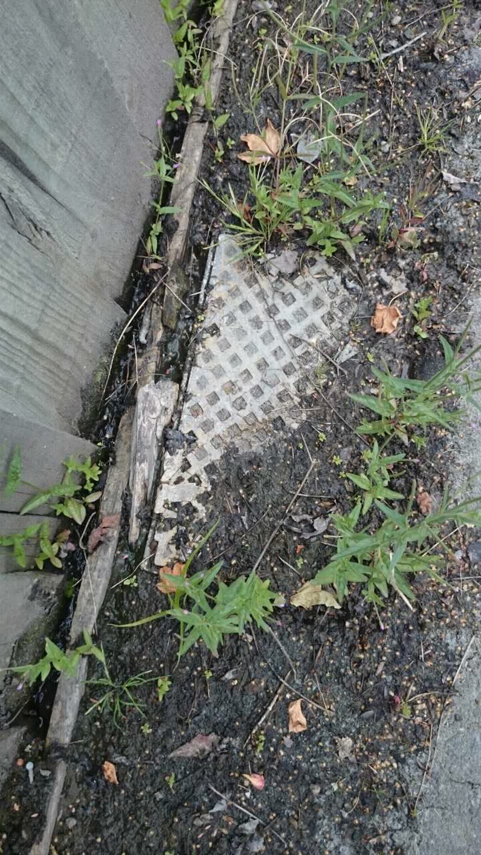The photograph attached to this water supply report