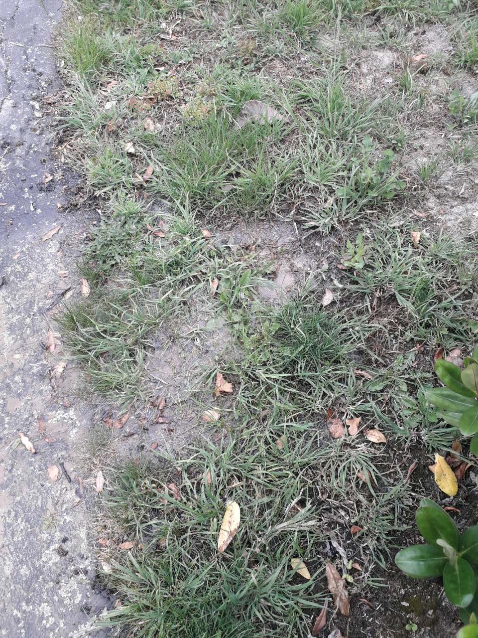 The photograph attached to this water supply report