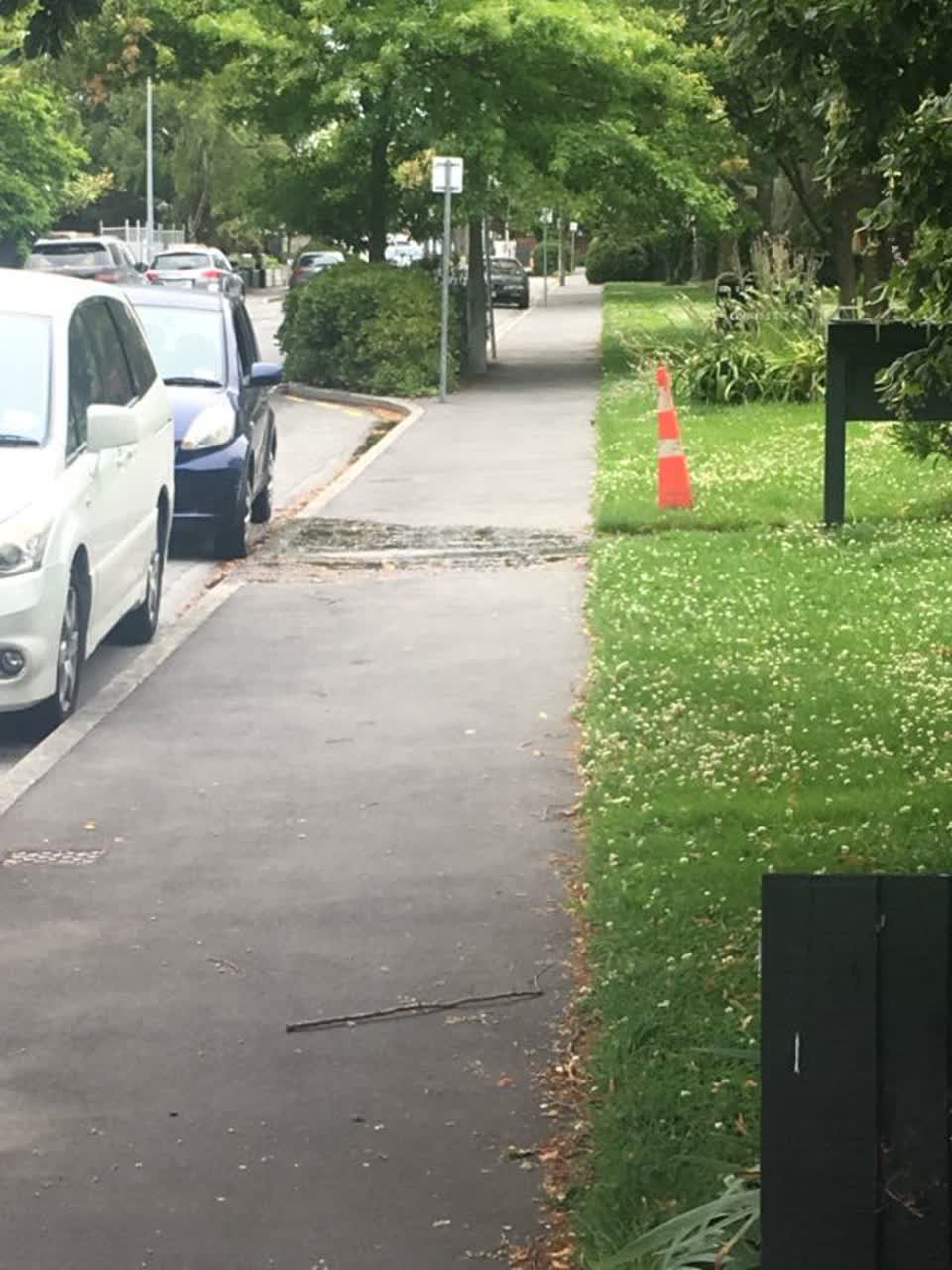 The photograph attached to this water supply report