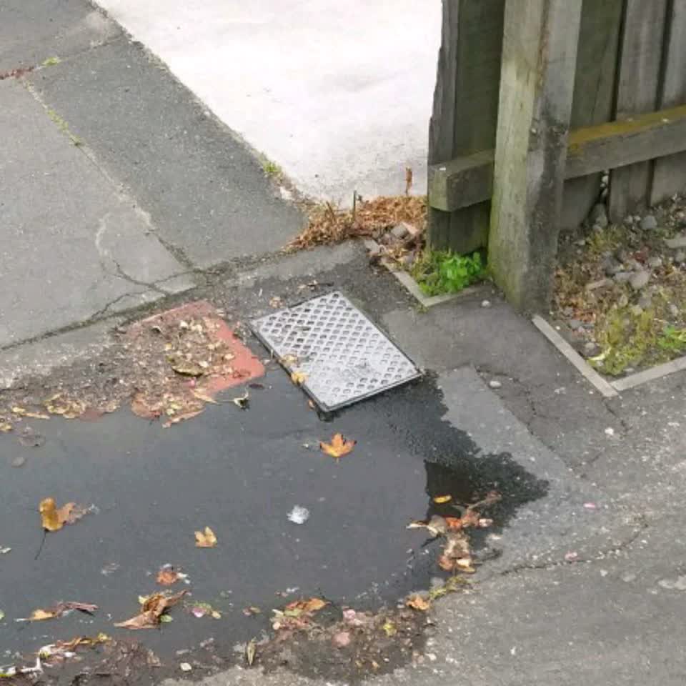 The photograph attached to this water supply report