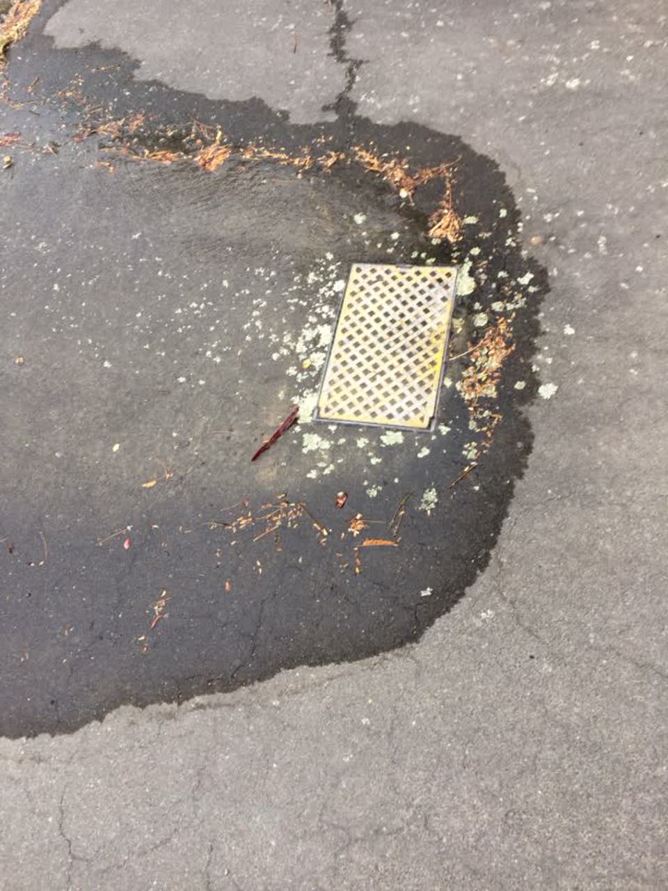 The photograph attached to this water supply report