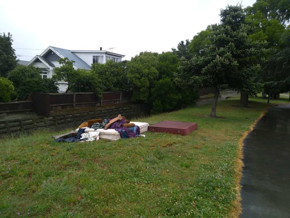 The photograph attached to this parks report