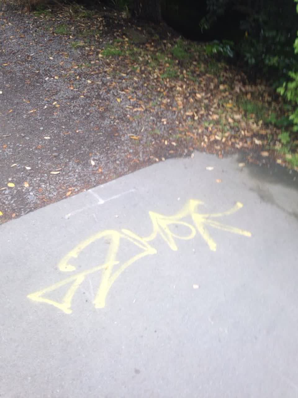 The photograph attached to this graffiti report