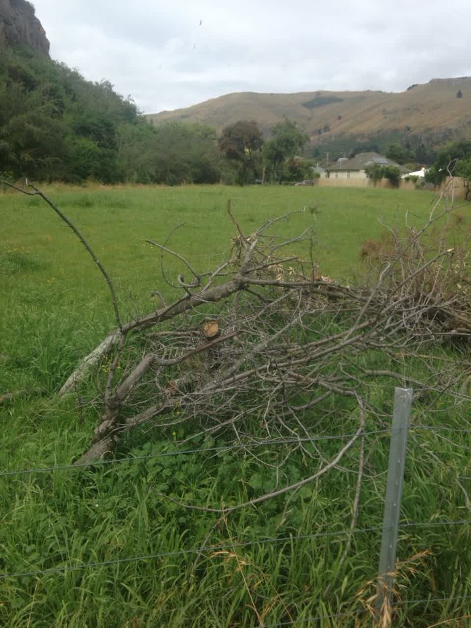 The photograph attached to this parks report