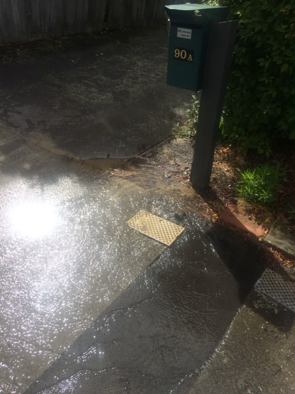 The photograph attached to this water supply report