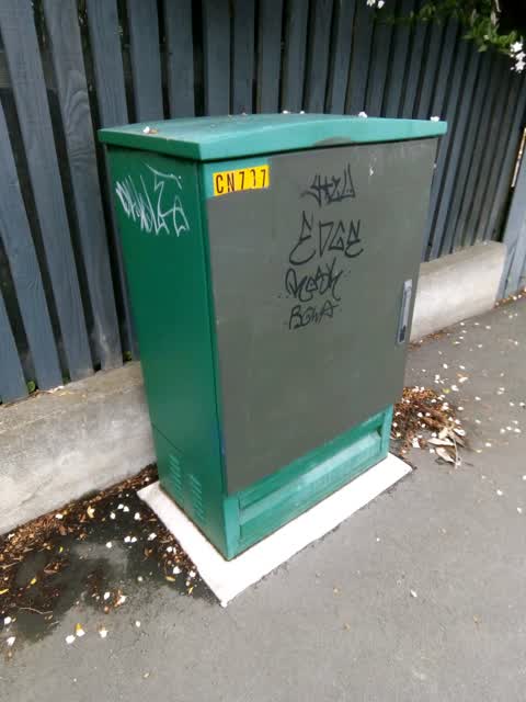 Graffiti, a report photo