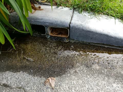 Wastewater/Stormwater, a report photo