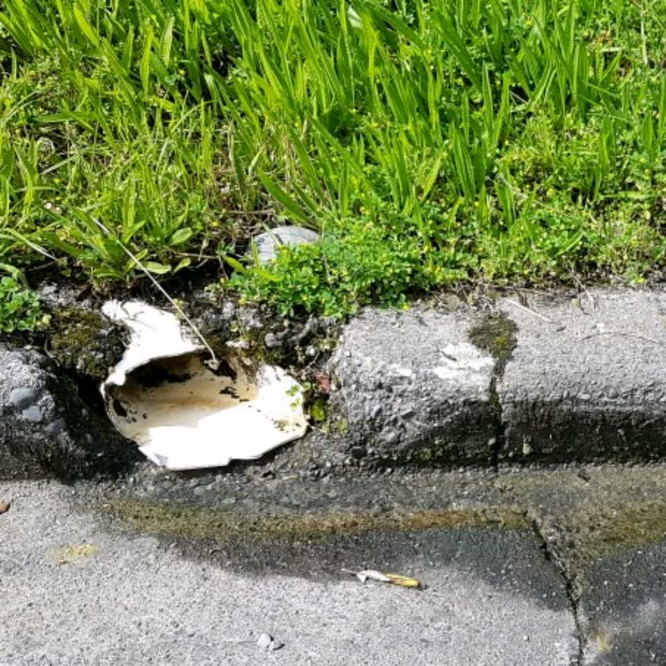 The photograph attached to this wastewater/stormwater report