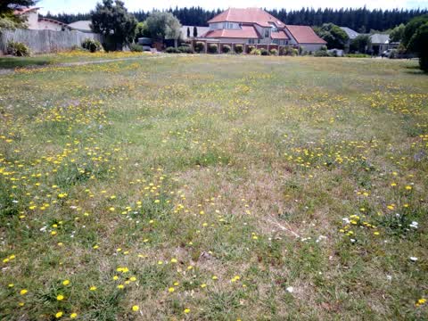 Parks, a report photo