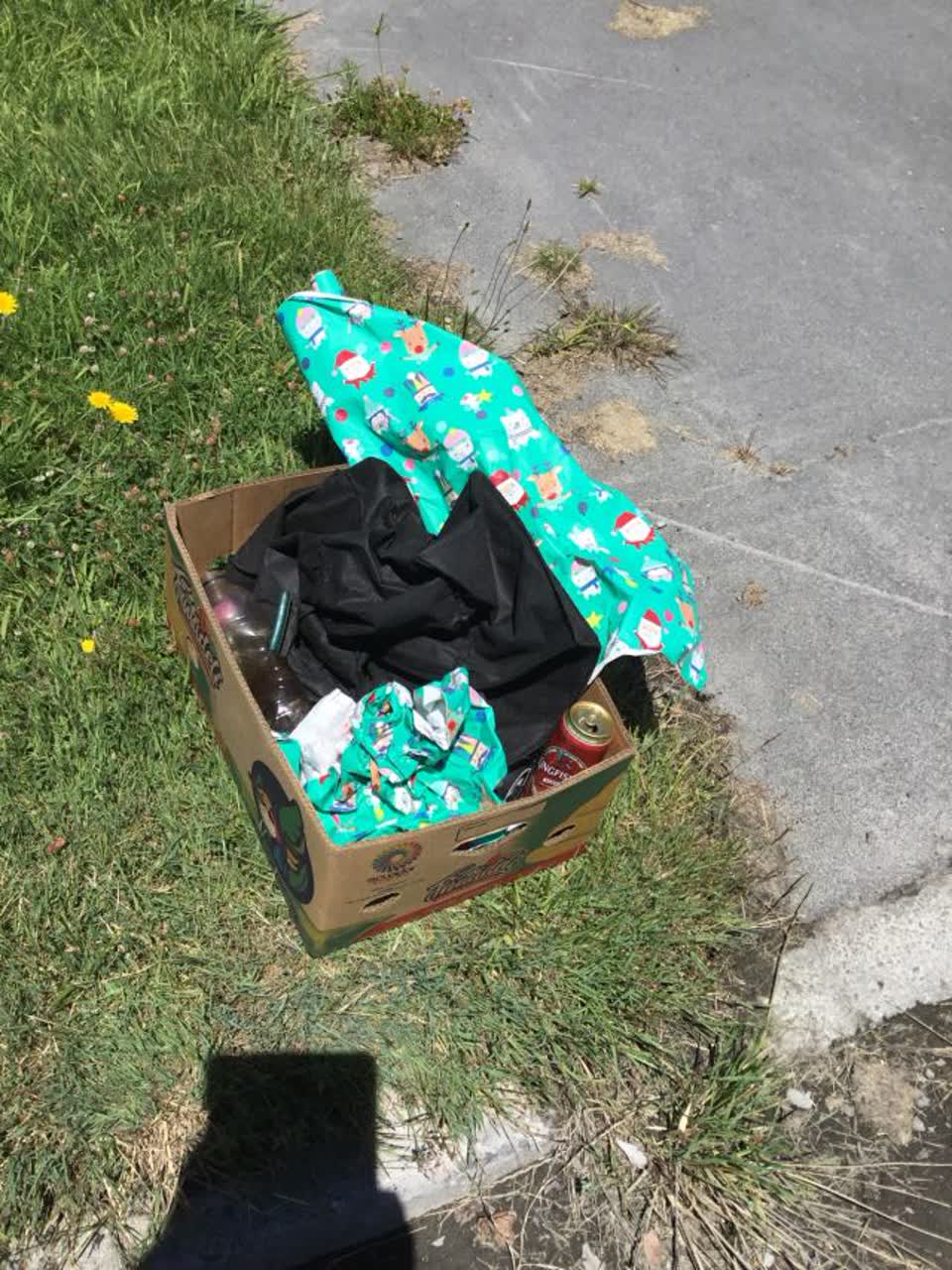 The photograph attached to this rubbish/recycling report