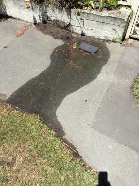 Water Supply, a report photo