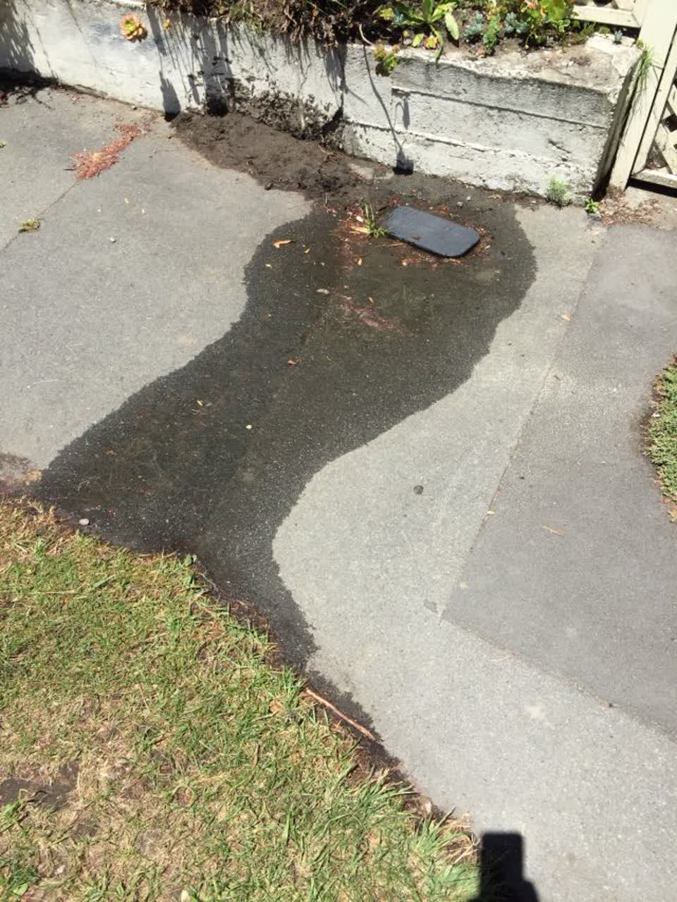The photograph attached to this water supply report