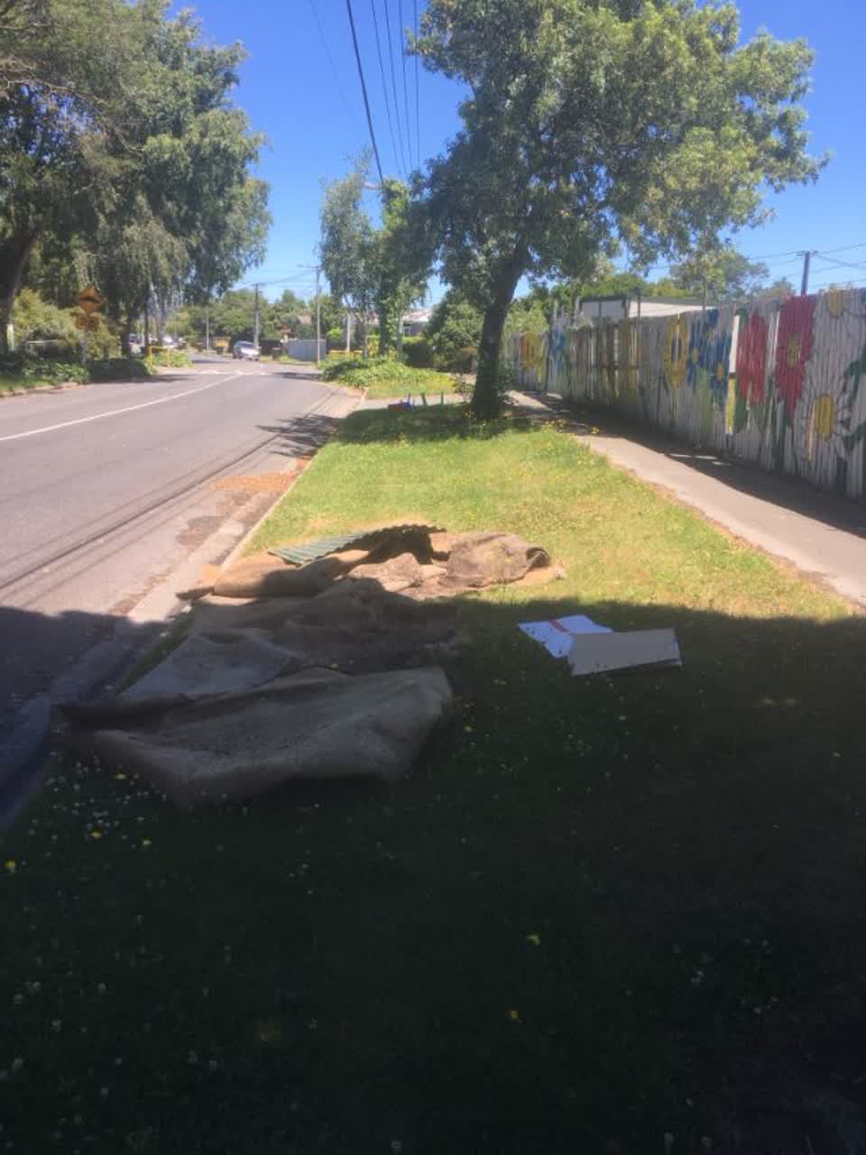 The photograph attached to this parks report