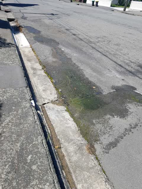 Roading/Streets, a report photo