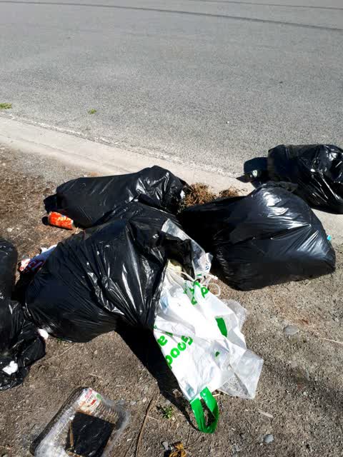Rubbish/Recycling, a report photo