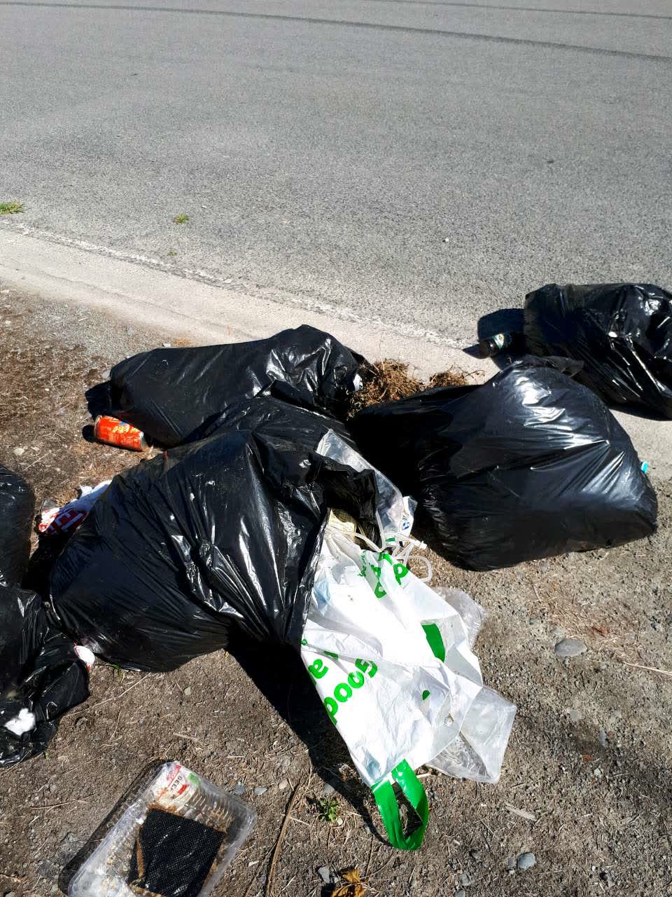 The photograph attached to this rubbish/recycling report