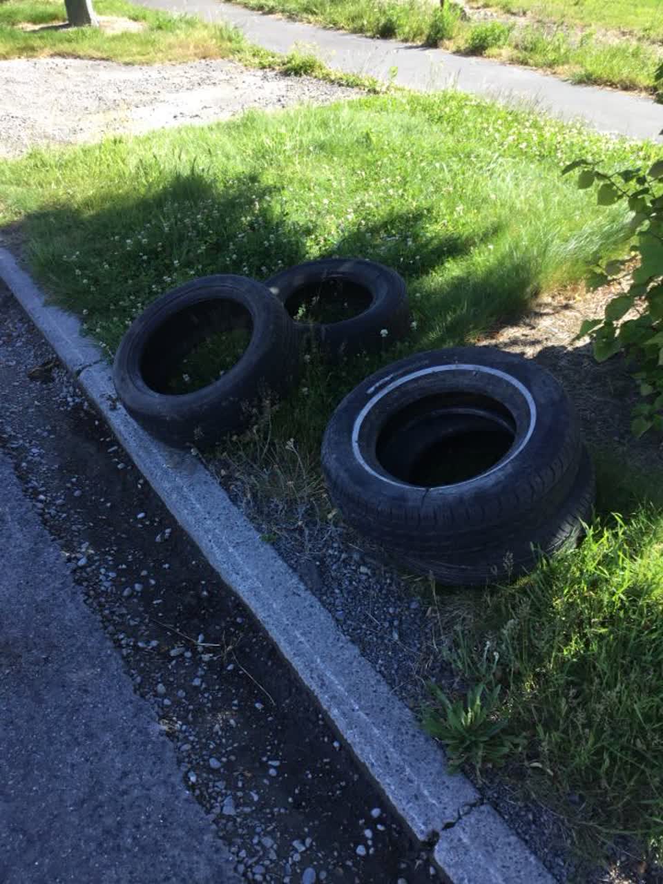 The photograph attached to this rubbish/recycling report
