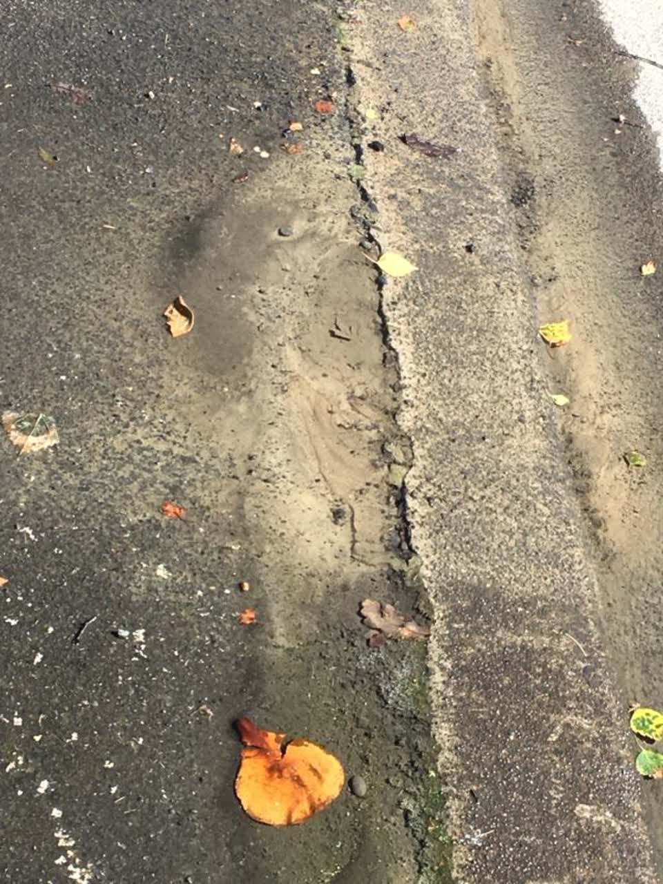The photograph attached to this wastewater/stormwater report