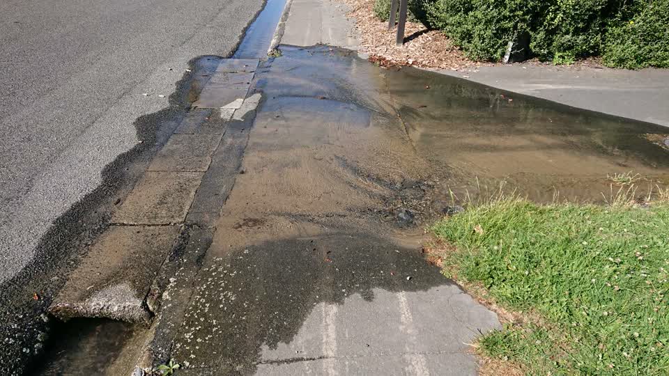The photograph attached to this water supply report
