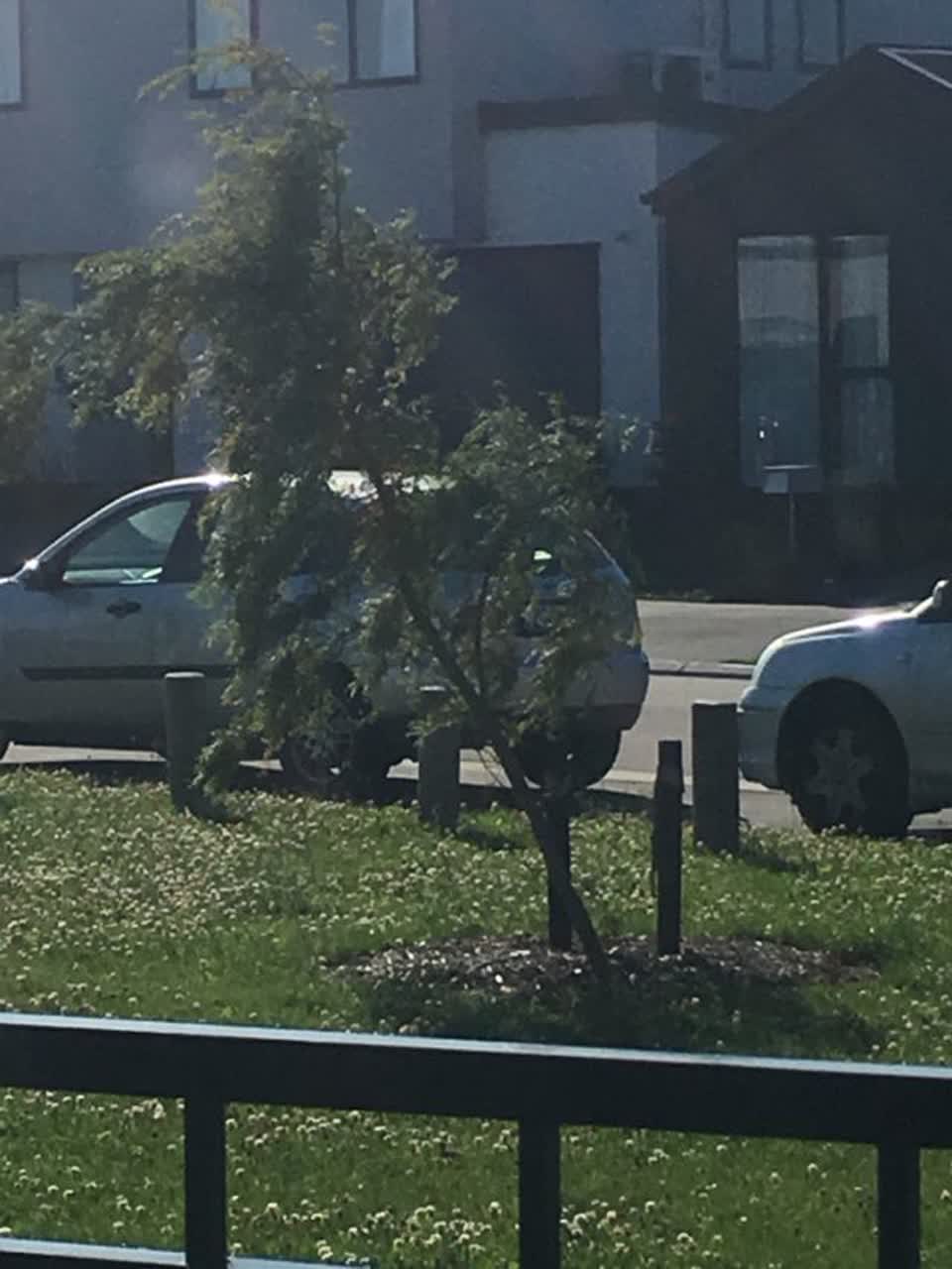 The photograph attached to this parks report