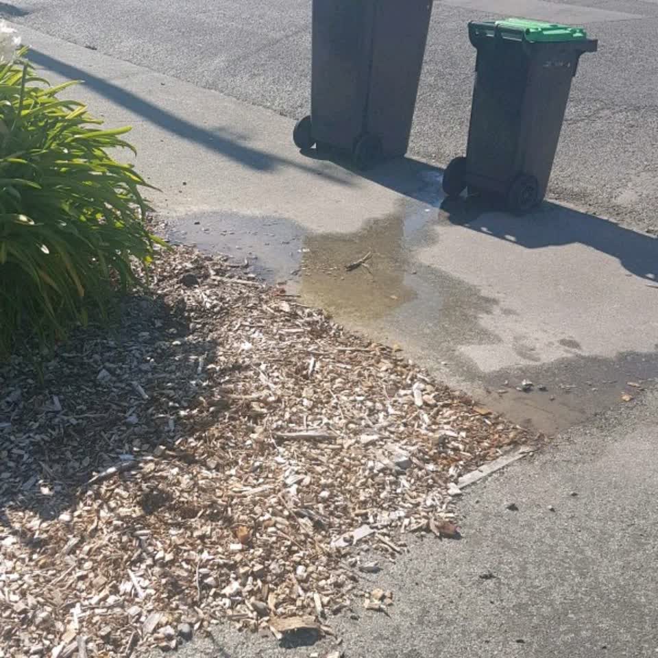 The photograph attached to this water supply report