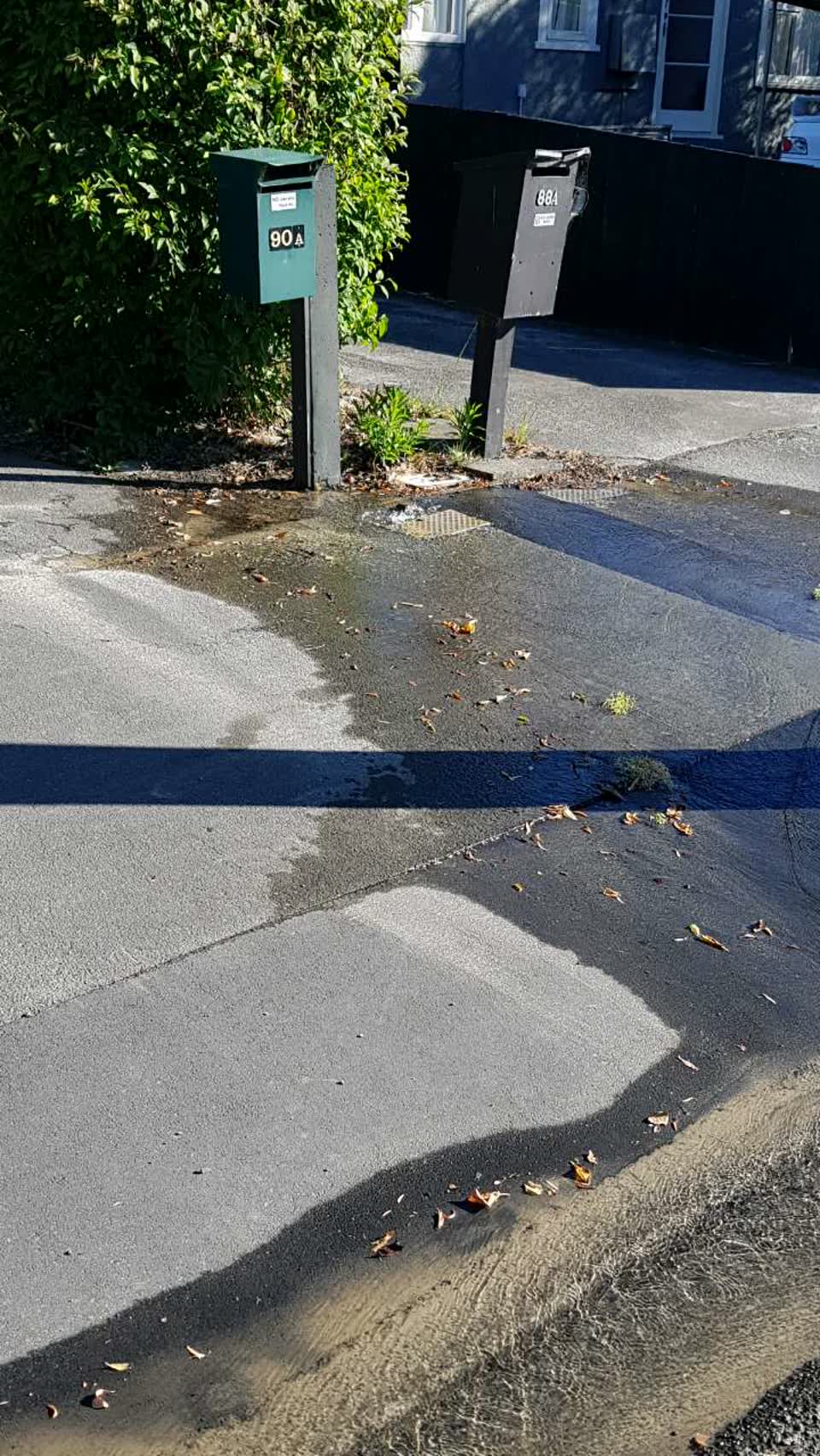 The photograph attached to this water supply report