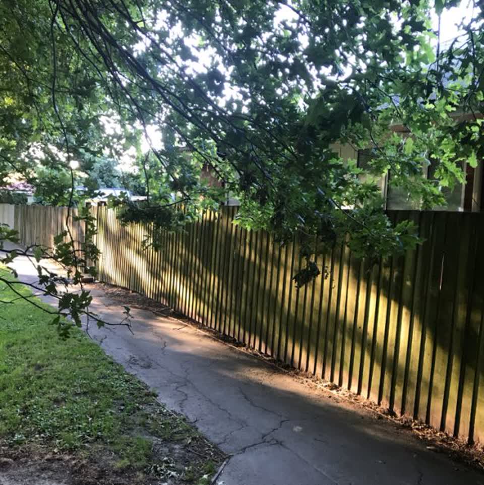 The photograph attached to this parks report