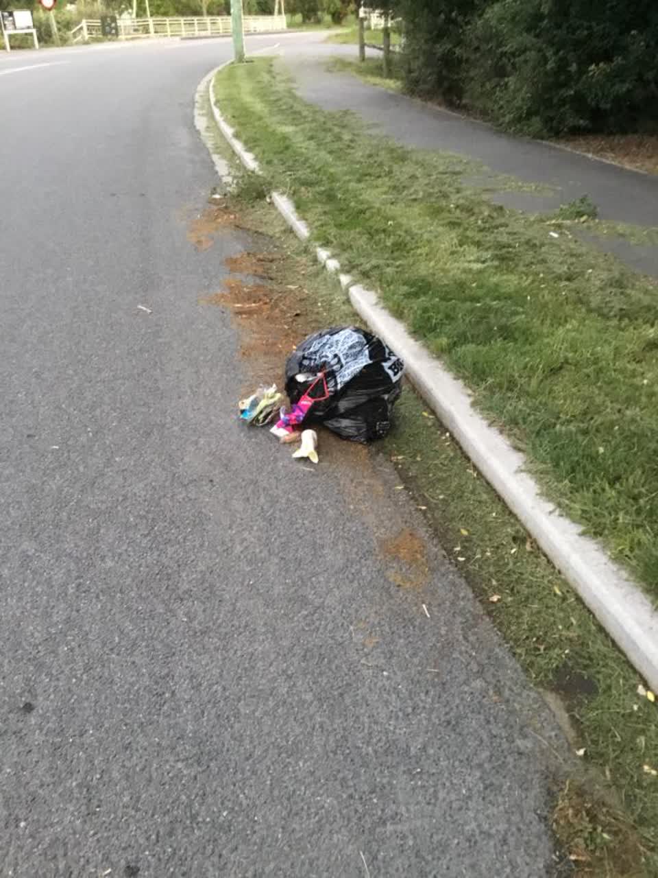 The photograph attached to this rubbish/recycling report