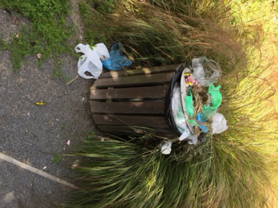 The photograph attached to this rubbish/recycling report