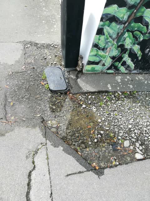 Water Supply, a report photo