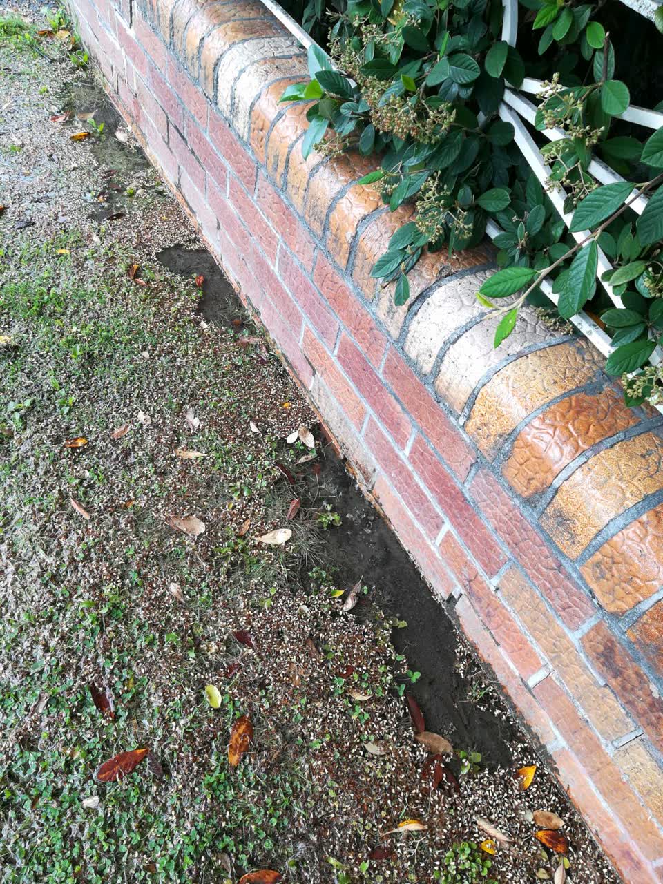 The photograph attached to this water supply report